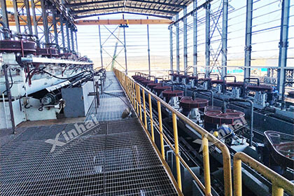 Flotation machines in the mineral processing plant